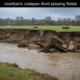 riverbank collapse iford playing fields